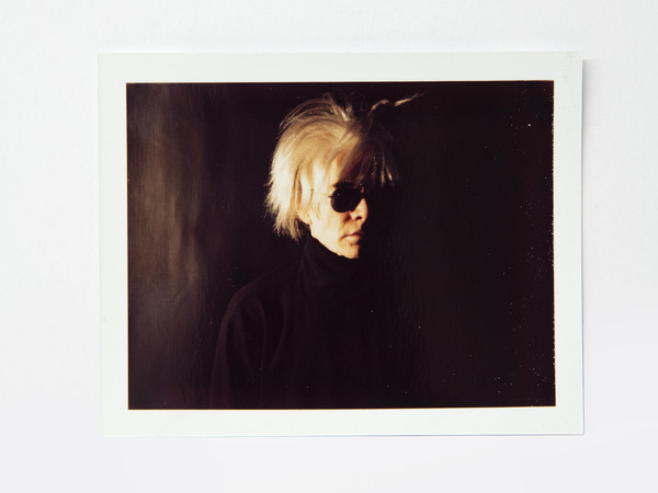 Polaroid di Andy Warhol 