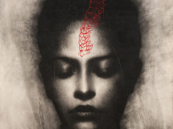 Omar Galliani, Mantra, 2003, matita su tavola e pigmento, cm. 100x100