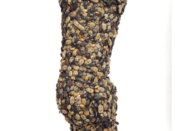 Jan Fabre, Pantser Arm (part.)