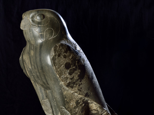 Statua di Falco (Horus), Benevento, presso convento di S. Agostino Anfibolite, h 70,5; cm., l 27,5 cm, XXX dinastia, IV sec. a.C., Museo del Sannio | Courtesy Museo Egizio, Torino