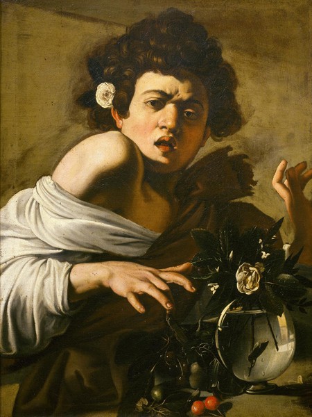 Michelangelo Merisi da Caravaggio, Ragazzo morso dal ramarro, <span>1596-1597. Olio su tela, 65,8 52,3 cm. Fondazione di Studi di Storia dell'Arte Roberto Longhi, Firenze</span>