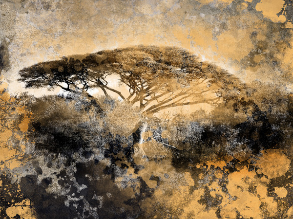Dieter Nuhr, Botswana Okawangodelta 12 / Botswana Okowango Delta 12, 2021. Digital Painting and Photograph, 300 x 450 cm. 