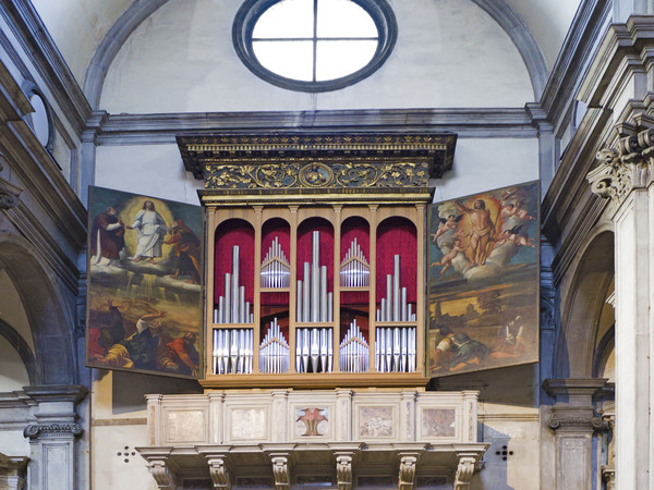 Organ