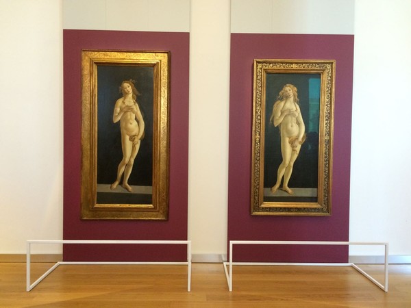 Veneri di Botticelli, Musei Reali, Torino