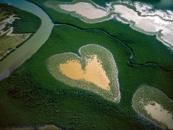 Yann Arthus-Bertrand, Corazòn de Voh, Nueva Caledonia, Francia