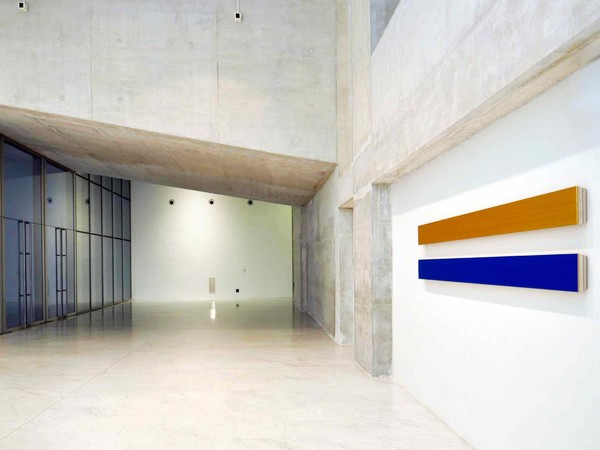 Domenico D'Oora, Bocconi Art Gallery, 2017