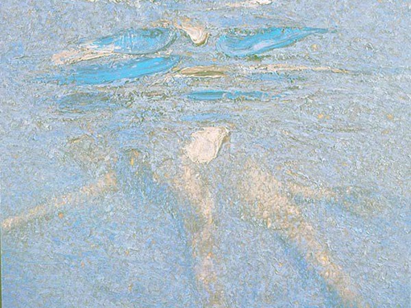 Piero Zuccaro, In acqua, 2007, olio su tela, cm 100x120