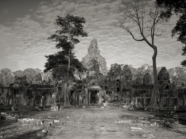Kenro Izu, Angkor #79, Cambodia, 1994, dalla serie “Sacred Places”, stampa al platino, 35,5x51 cm