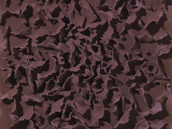 Carlo Rea, Spore rosso vinaccia, 2016, gesso, cellulosa, colla e tempera su tela, 50x50 cm.