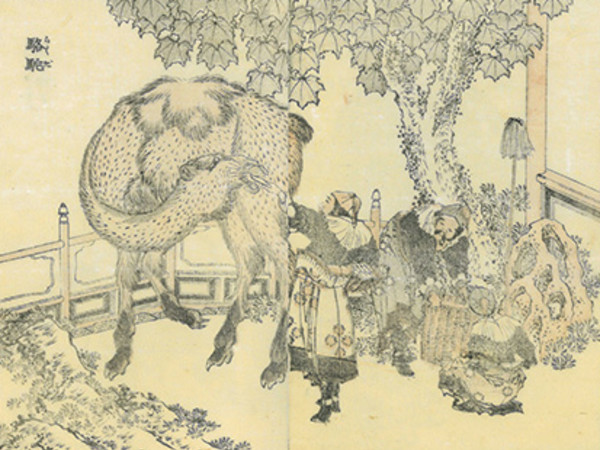 Katsushika Hokusai, Cammello, dagli Sketches by Hokusai, Vol.14 (葛飾北斎『北斎漫画』十四編「駱駝) | Courtesy of The Sumida Hokusai Museum, Tokyo