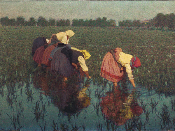 Angelo Morbelli, Risaiuole, 1897, olio su tela, 40x60 cm. Collezione privata