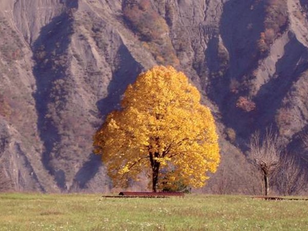  suggestivi calanchi incorniciano l'area archeologica di Marzabotto