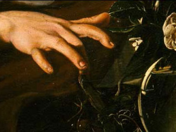Michelangelo Merisi da Caravaggio, Ragazzo morso dal ramarro, 1593-94, Firenze, Fondazione di Studi di Storia dell'Arte Roberto Longhi, particolare