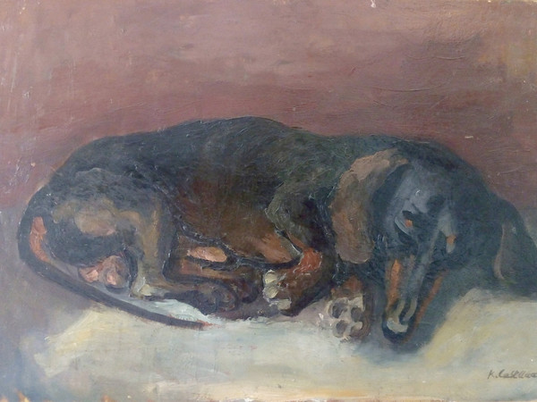 Katy Castellucci, Cane bassotto, olio su cartone (n. 105)