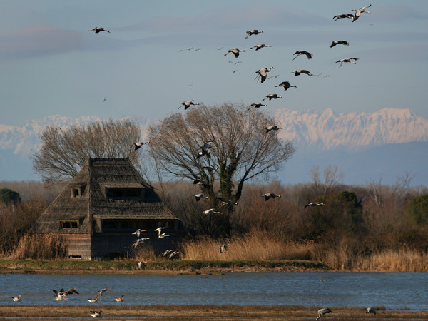 Isola della Cona regional nature reserve