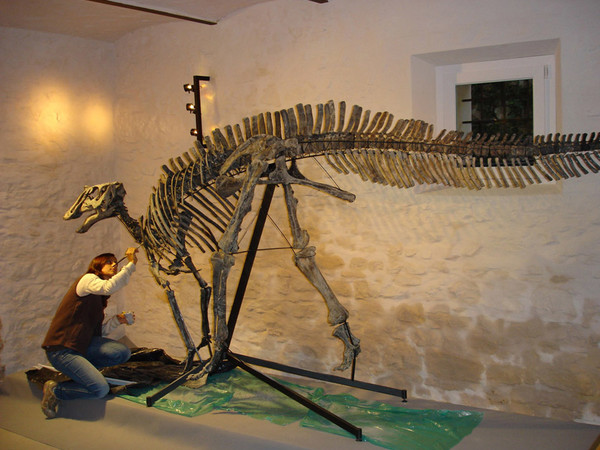 La conquista del cielo, Palazzo Claudi, Serrapetrona (Macerata)