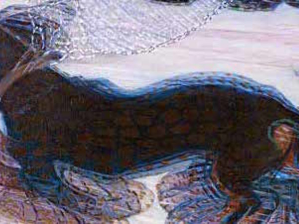 Giacomo Balla, Dinamismo di un cane al guinzaglio