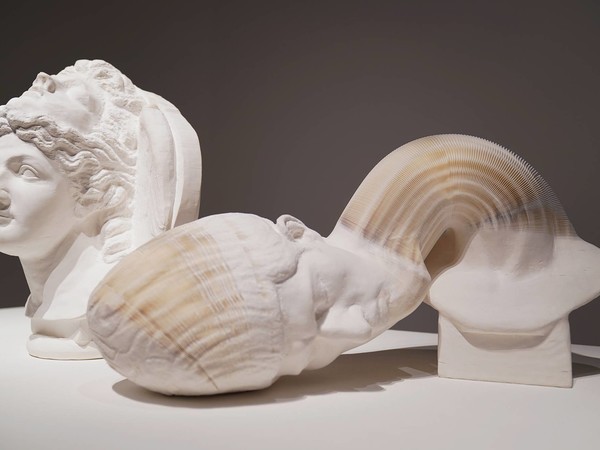 Li Hongbo, The teaching Instruments series