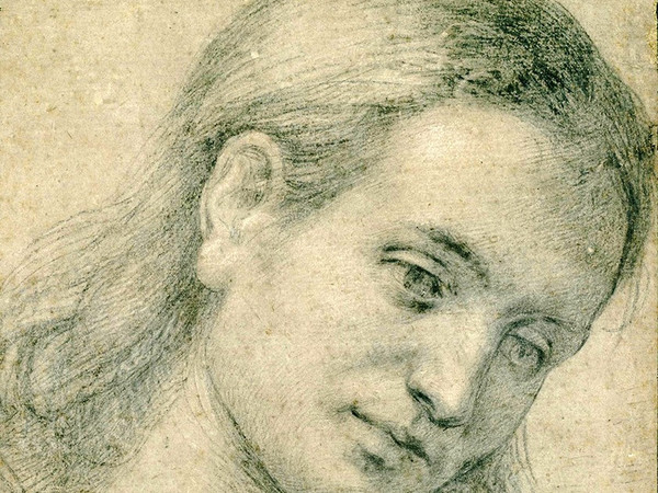 Intorno a Leonardo. Disegni italiani del Rinascimento