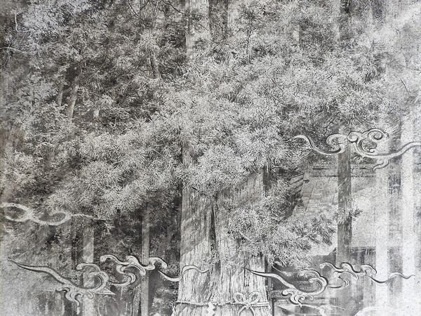 Shoko Okumura, Portrait tree