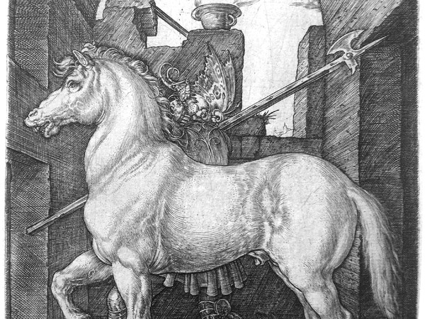 Albrecht Dürer, Il Piccolo Cavallo