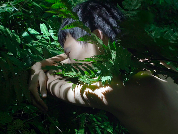 Zheng Bo, Pteridophilia 1, 2016. Video (4K, color, sound), 17 min.