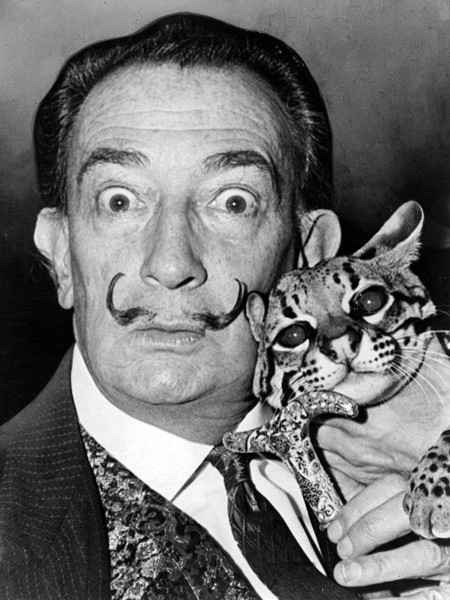 Foto Salvador Dalì with ocelot and cane