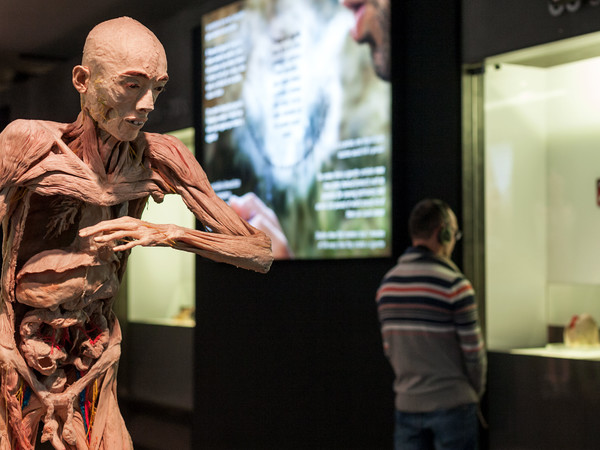 Human Bodies. The Exhibition