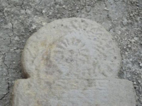 Nuovi dati dalle necropoli dell'Etruria Padana: il contributo della Soprintendenza per i Beni Archeologici dell'Emilia Romagna