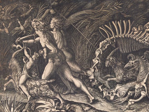 Marcantonio Raimondi o Agostino Veneziano, Lo Stregozzo, Prima metà XVI secolo, Bulino, Milano, Civica Raccolta delle Stampe “Achille Bertarelli” | © Comune di Milano