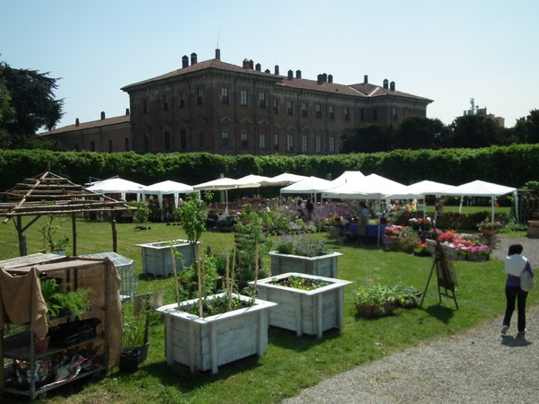 Ninfeamus 2014. Dire, fare, sbocciare. Villa Borromeo Visconti Litta, Lainate (MI)