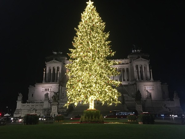 Luci di Natale 2020 - Spelacchio, Piazza Venezia, Roma