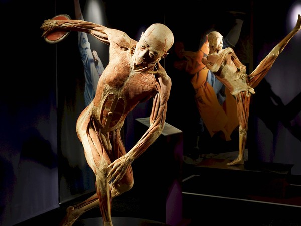 Real Bodies, scopri il corpo umano Real Bodies, scopri il corpo umano