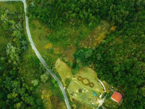 TANA Terranova Arte Natura, residenza d'arte ambientale 