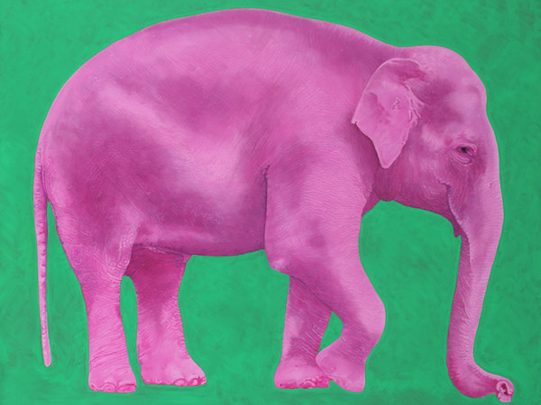 Valentina De Martini, Elefante rosa 2, 2024,, olio su tela, cm. 240x200