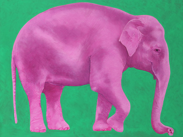 Valentina De Martini, Elefante rosa 2, 2024,, olio su tela, cm. 240x200