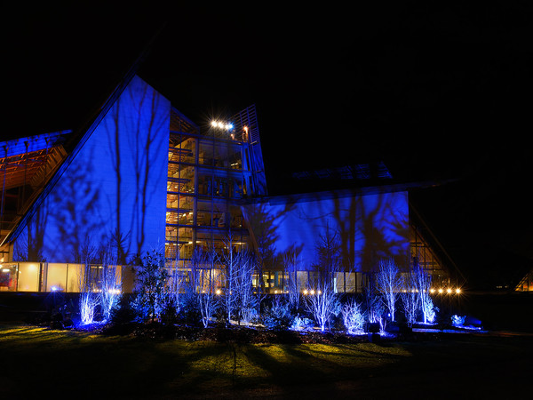 Trees Falling in Love, MUSE - Museo delle Scienze di Trento