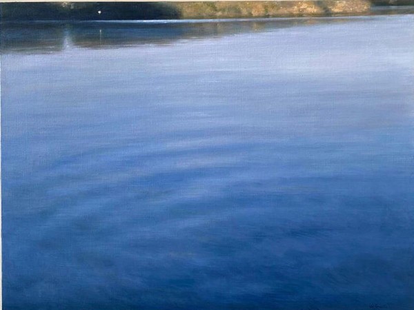 Ettore de Conciliis, Flussi dell'acqua, olio su tela, 60x79.5 cm.