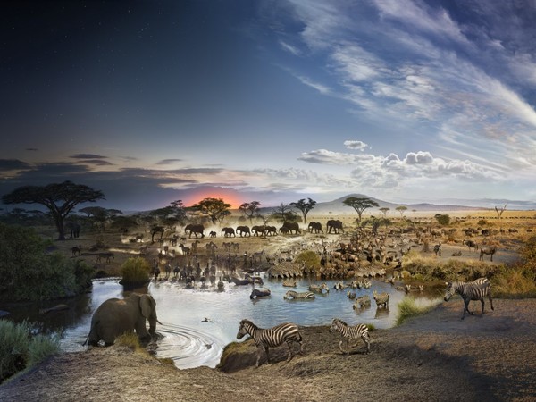 Stephen Wilkes, Serengeti National Park, Tanzania, Day to Night™, 2015 