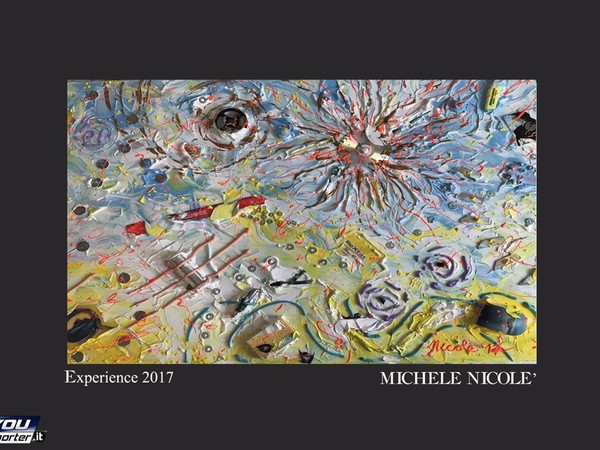 Michele Nicolè, Experience, 2017