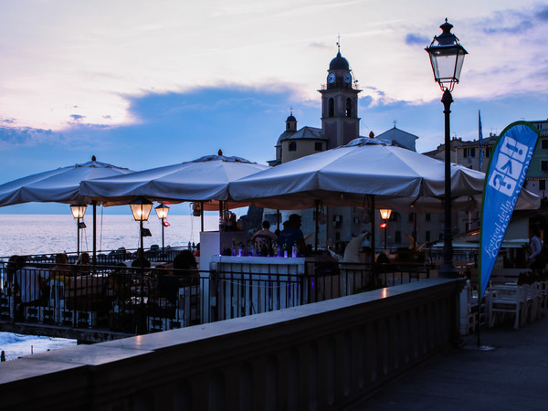 Festival della Comunicazione, Camogli