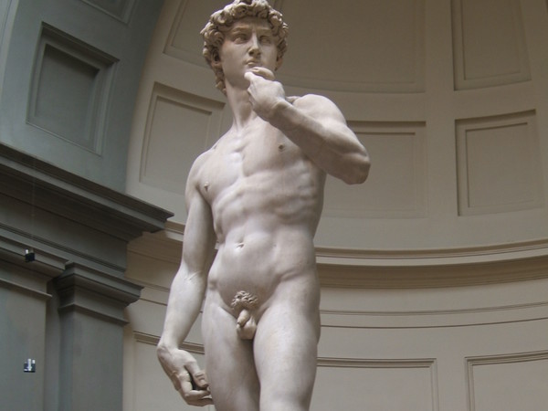 Michelangelo Buonarroti, David, 1501-1504, Firenze, Galleria dell'Accademia