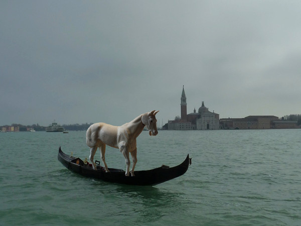 Quartair Group / Geeske Harting, Jessy Theo Rahman, Pietertje van Splunter,  Thom Vink, <em>A horse, a horse!,</em> 2015 in Jump into the Unknown, evento collaterale 56 Esposizione Internazionale d'Arte - la Biennale di Venezia 2015