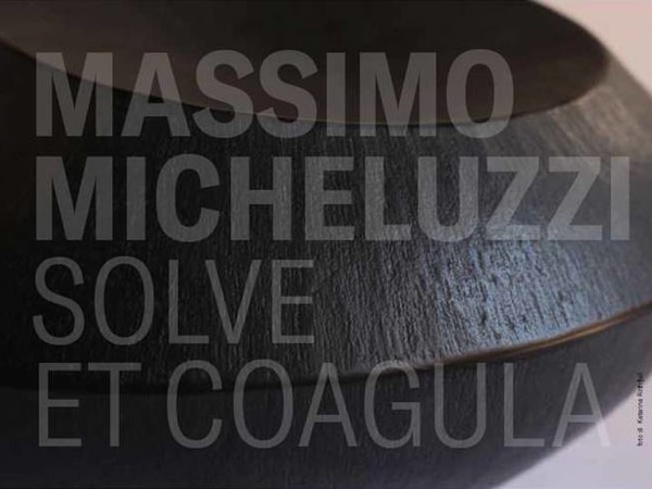 Massimo Micheluzzi. Solve et coagula