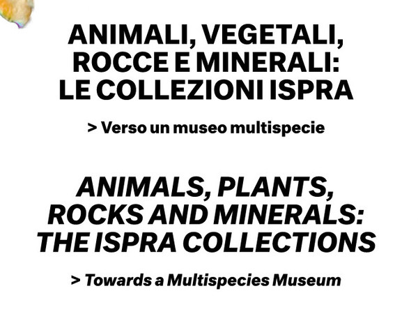 Animali, Vegetali, Rocce e Minerali: le Collezioni ISPRA > Verso un museo multispecie