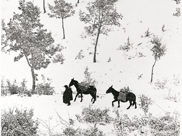 Fulvio Roiter, <em>Norcia, Umbria, Terra di San Francesco</em>, Dettaglio, 1955 | © Fondazione Fulvio Roiter<br />