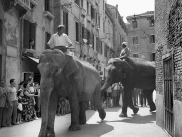 Il Circo 1954 sc. 358. Archivio Cameraphoto Epoche Venezia