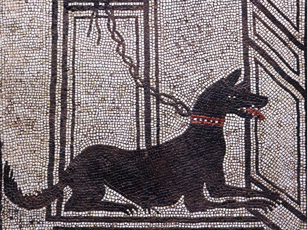 Mosaico romano con cane da guardia, Proveniente dalla Casa di Paquius Proculus, Pompei | Foto: WolfgangRieger via Wikimedia Creative Commons