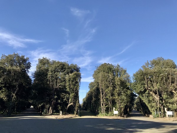 Emiciclo di Porta di Mezzo, Real Bosco Capodimonte, Napoli