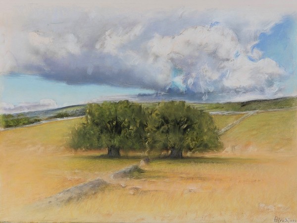 Franco Polizzi, Grandi vicini, 2020, pastello, 48 x 66 cm.